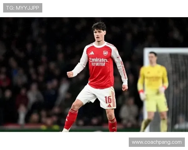 内尔高盛赞热苏斯默契全力备战